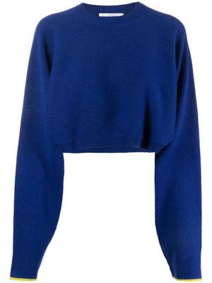 long-sleeved knitted cropped jumper