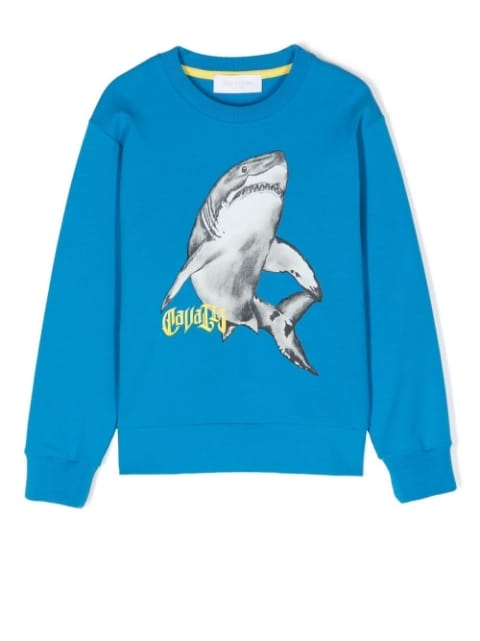 shark-print sweatshirt